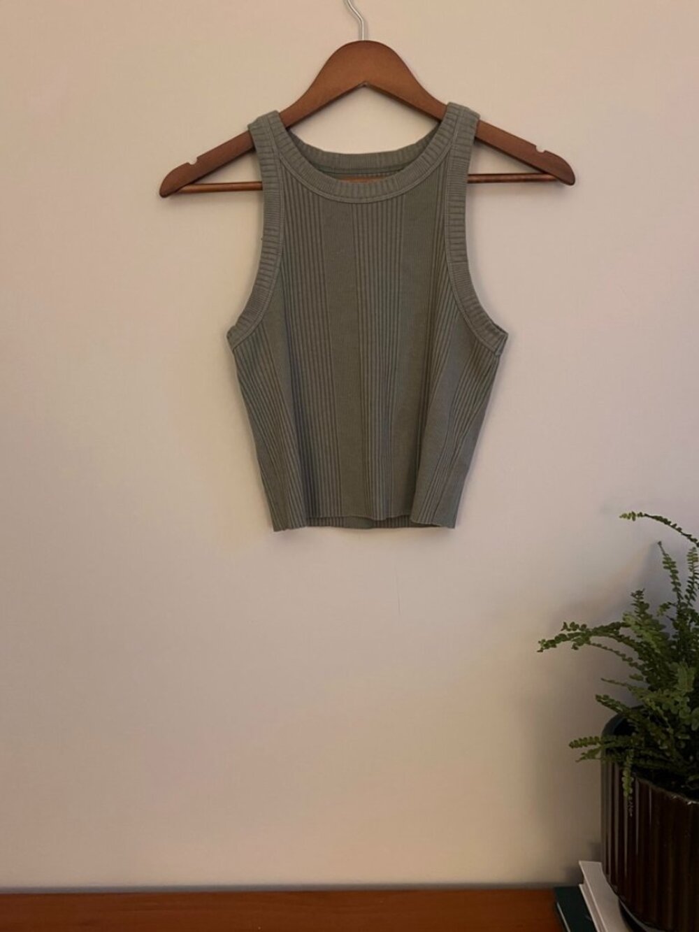Aerie Sage Green Ribbed Cropped Tank Top | Size Small